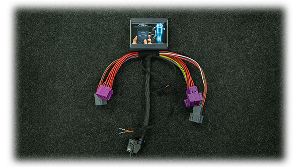 Elektronische Tieferlegung Porsche