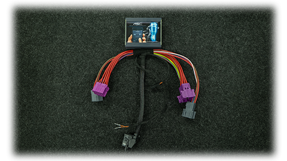 Elektronische Tieferlegung Porsche