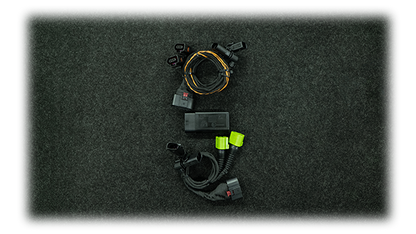 Elektronische Tieferlegung Porsche